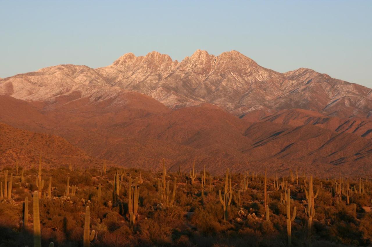 Southwestern Siesta