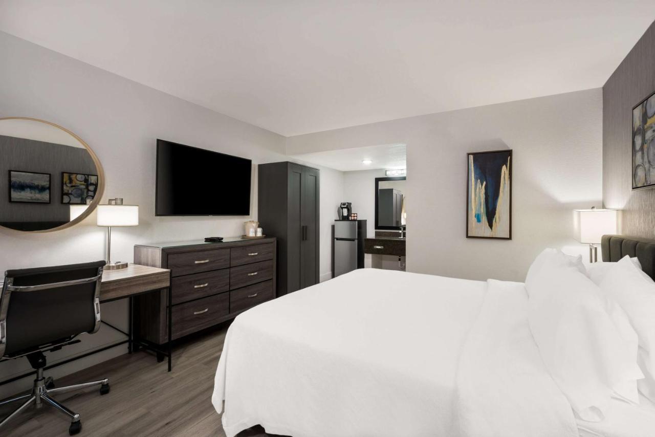 Revival Scottsdale