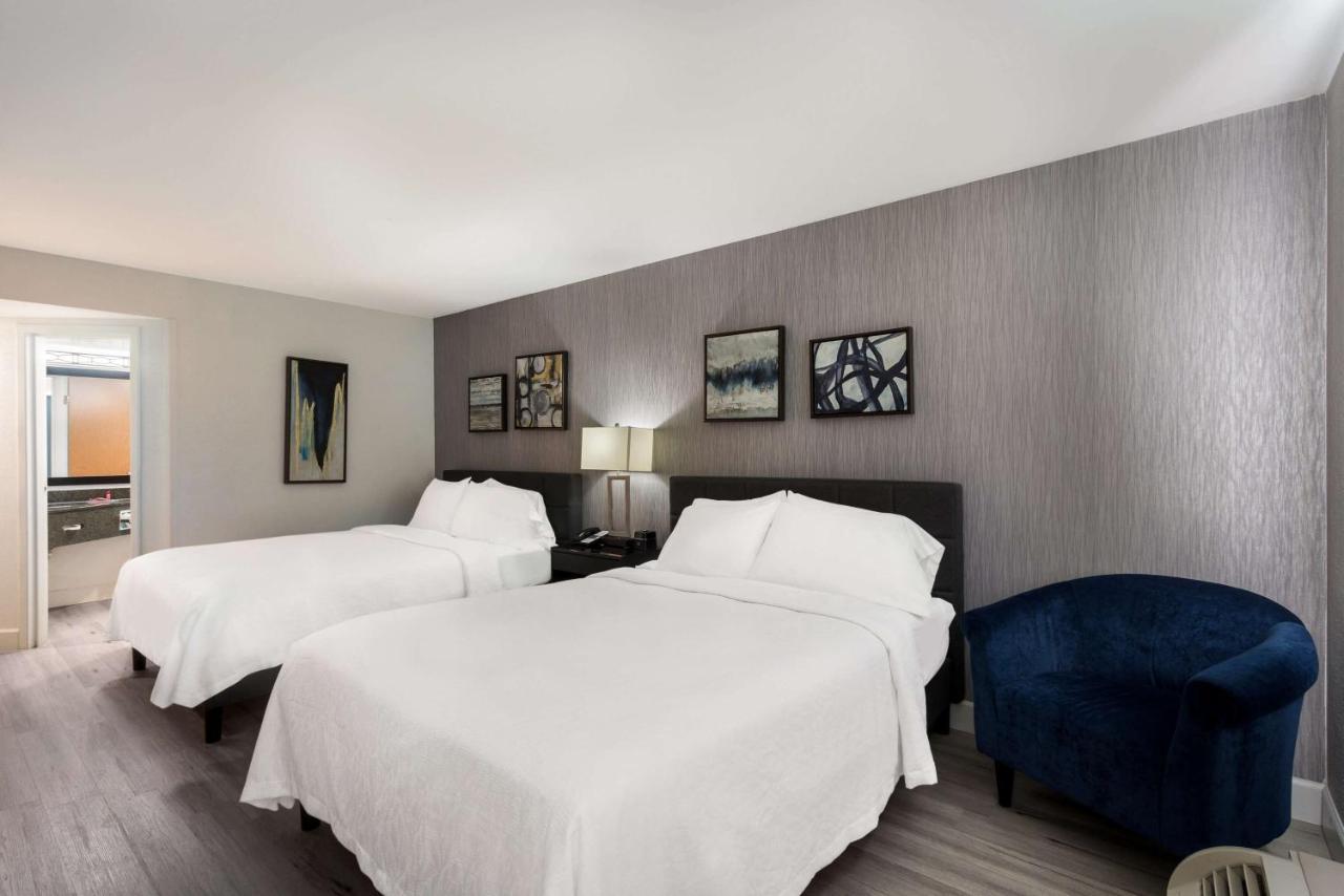 Revival Scottsdale