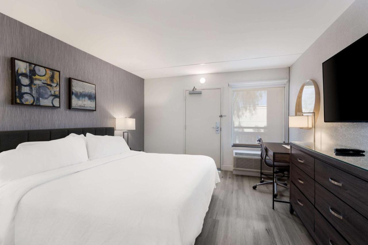 Revival Scottsdale