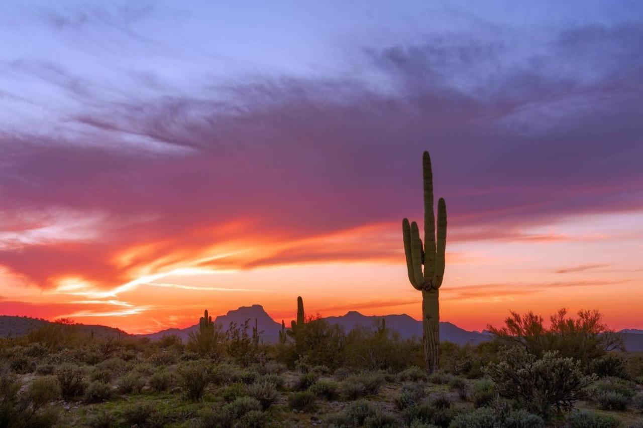 Casitas * Scottsdale