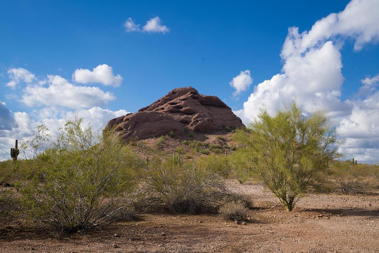 239-fully Furnished, Wifi Included * Scottsdale