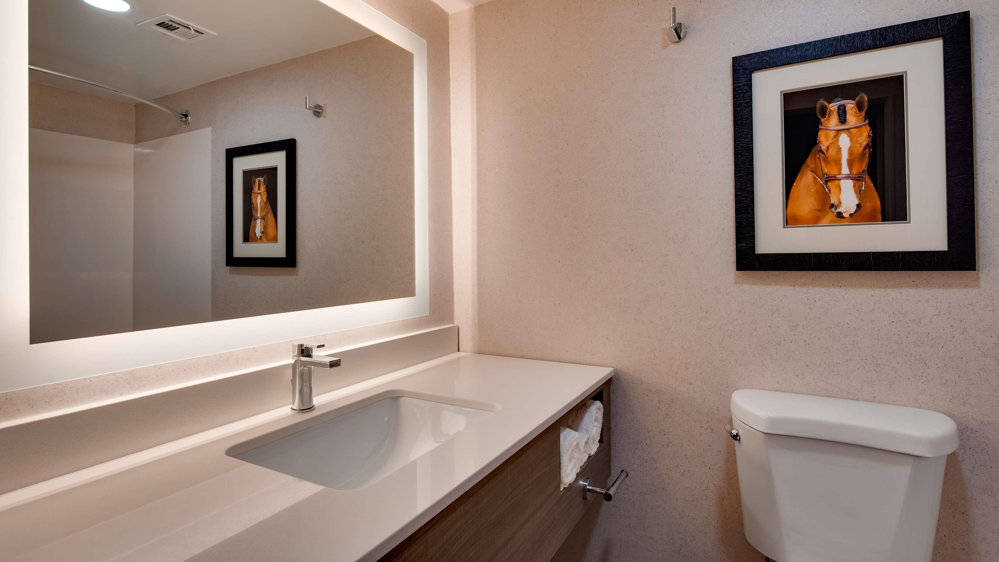 Aiden By Western North Hotel 3*