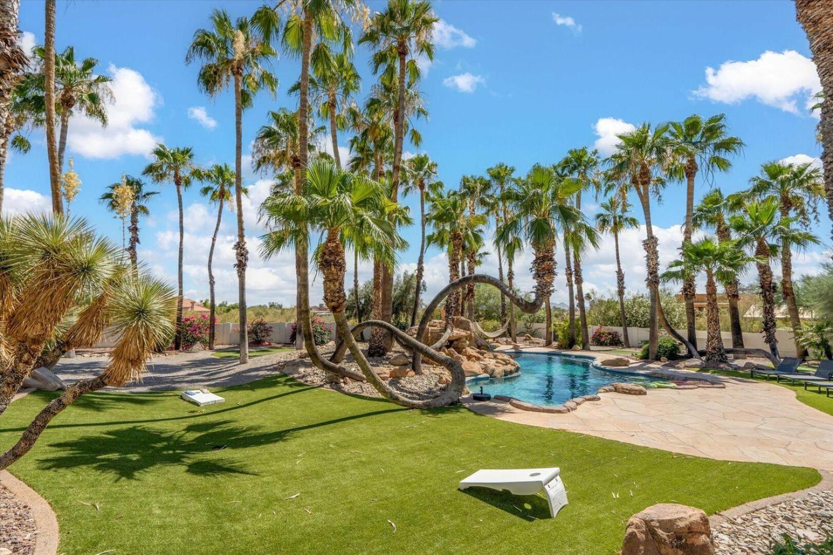 Caesar's Bliss * Scottsdale