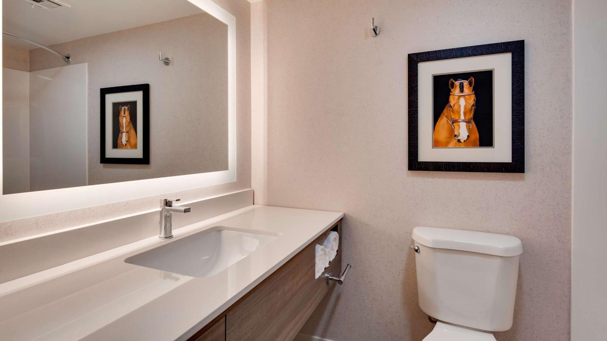 Hotel Aiden By Western North