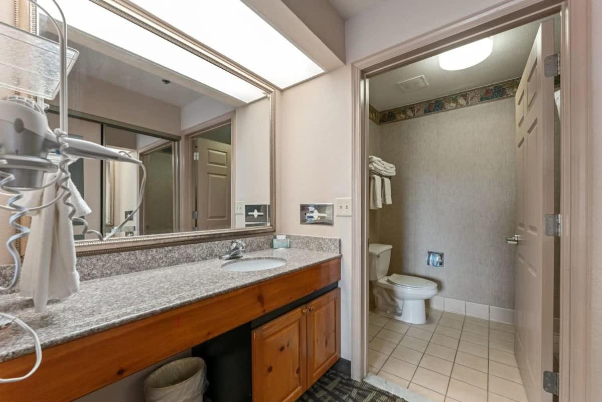 2 Bd 2 Ba Furnished 4 Full Beds Apartment Scottsdale