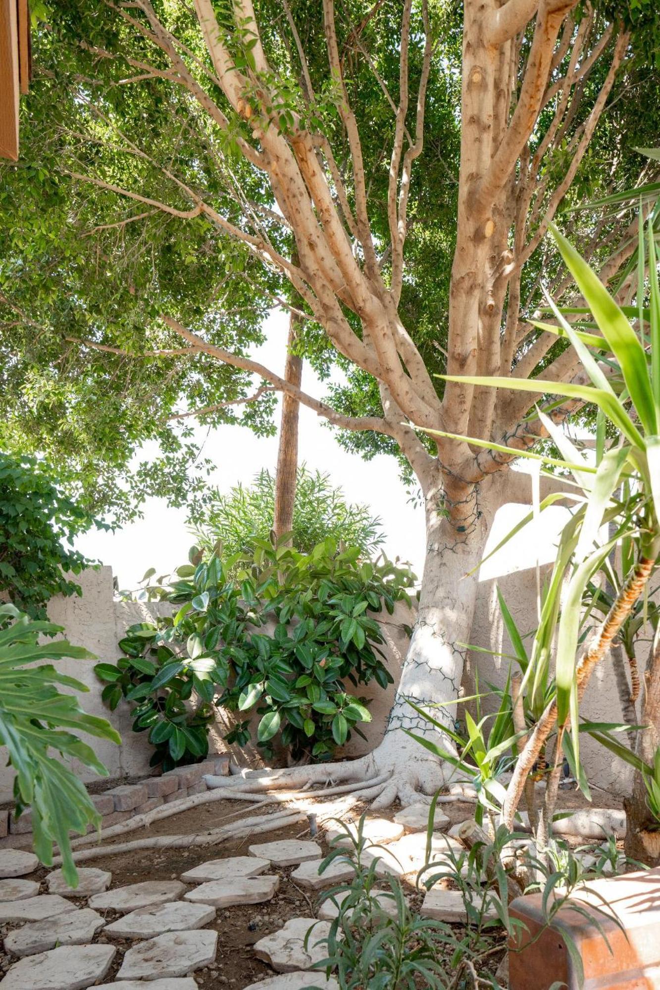 Holiday home Casa Del Monte- Old Town Gem With Pool & Tennis