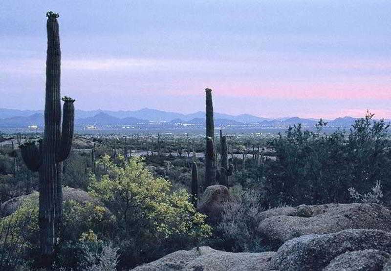 North 3* Scottsdale