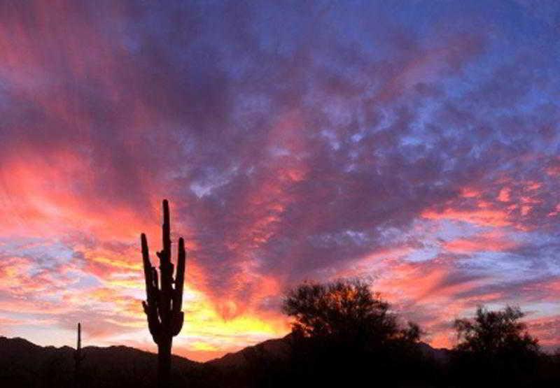 Sonesta Es Paradise Valley 3* Scottsdale