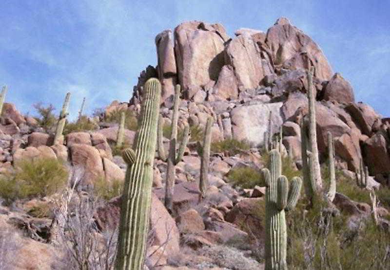 Sonesta Es Paradise Valley Hotel